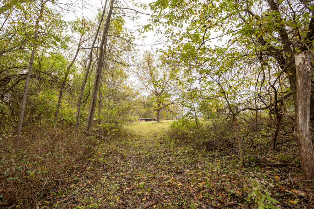 Recreational Property with Huge Potential Near Stockton Lake