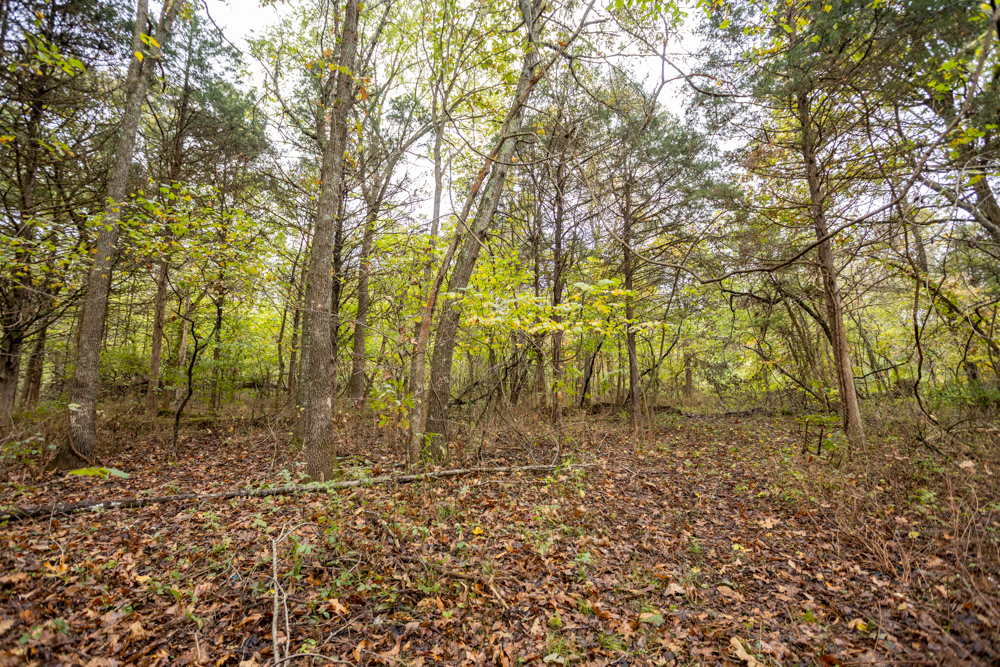 Recreational Property with Huge Potential Near Stockton Lake