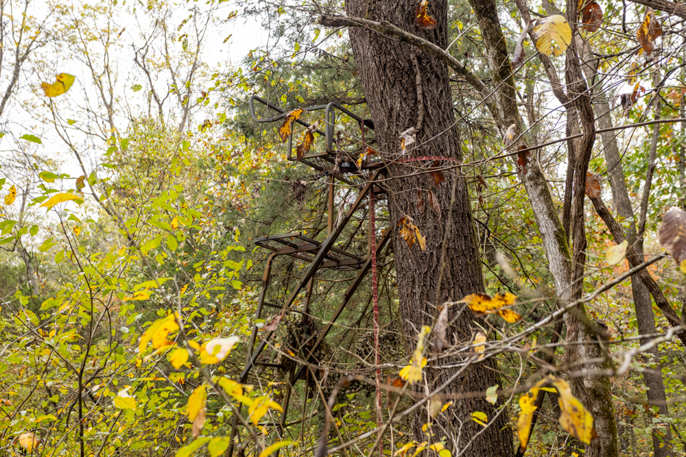 Recreational Property with Huge Potential Near Stockton Lake