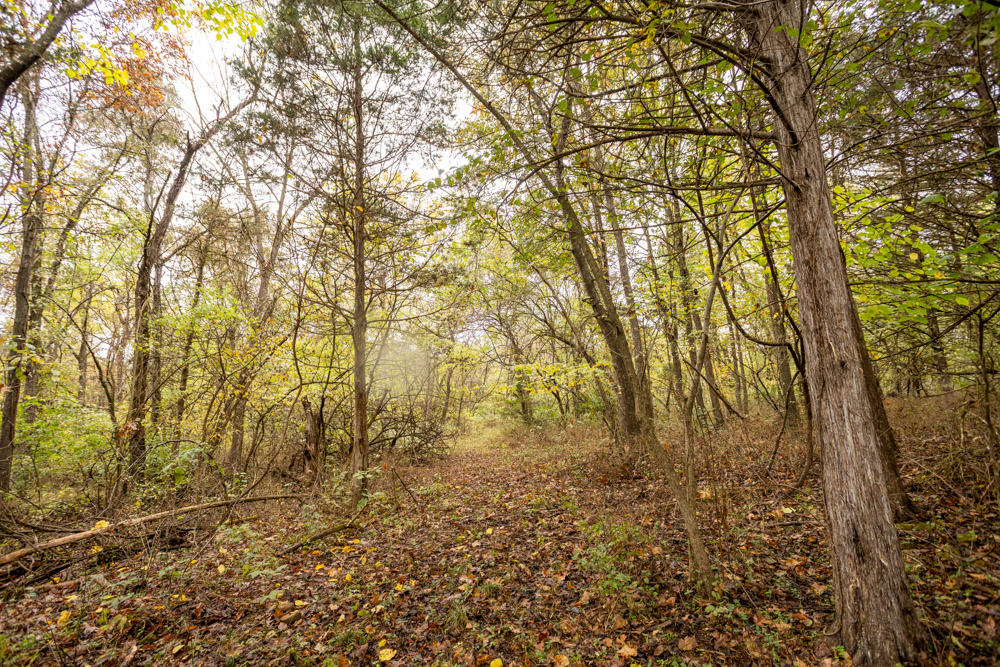 Recreational Property with Huge Potential Near Stockton Lake