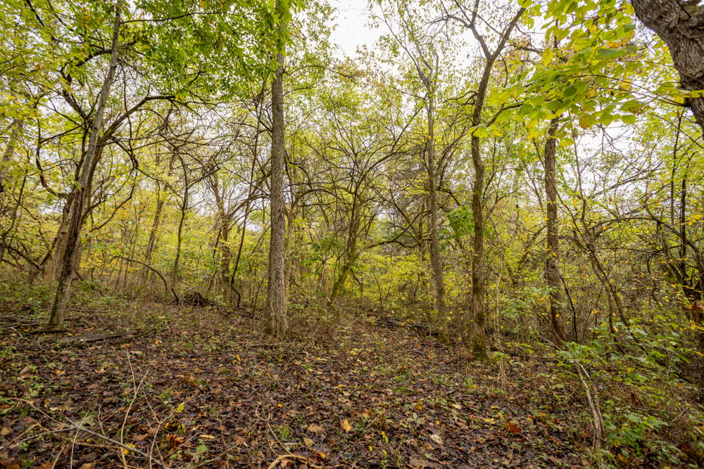 Recreational Property with Huge Potential Near Stockton Lake