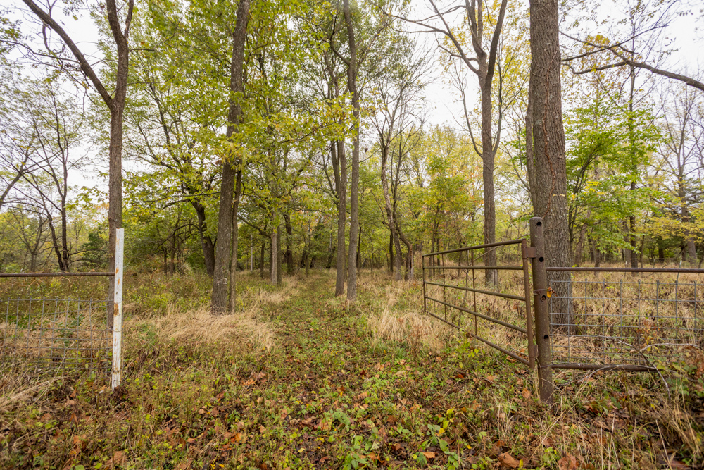 Recreational Property with Huge Potential Near Stockton Lake