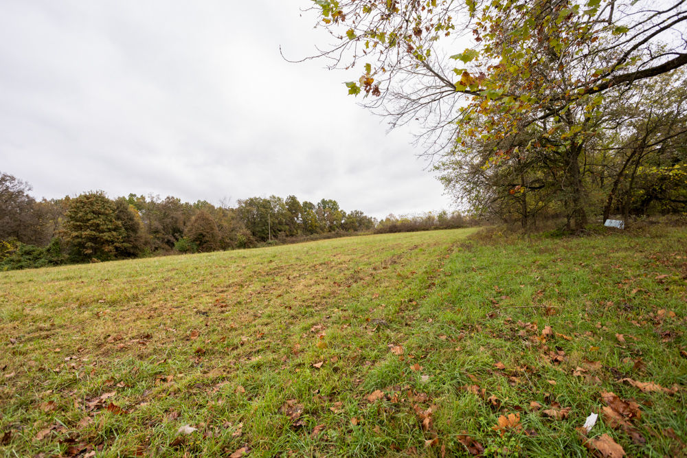 Recreational Property with Huge Potential Near Stockton Lake