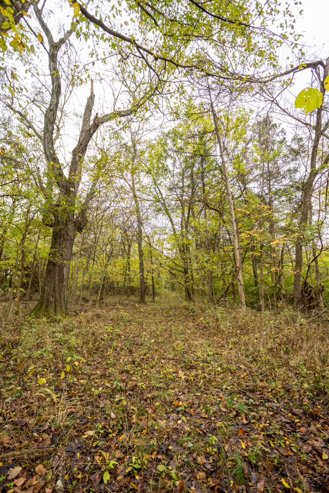 Recreational Property with Huge Potential Near Stockton Lake