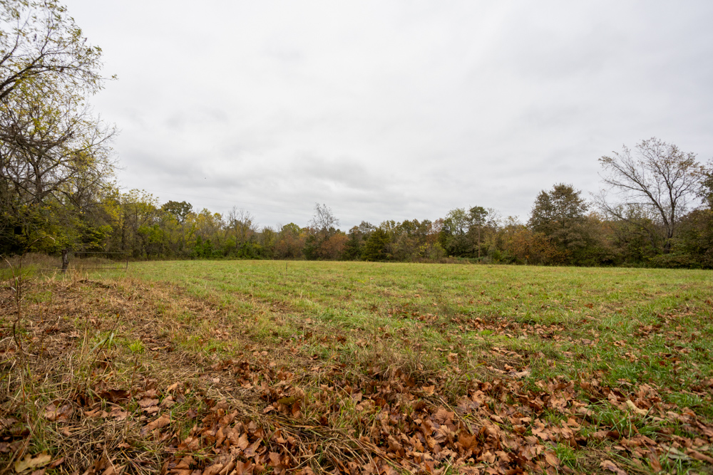 Recreational Property with Huge Potential Near Stockton Lake