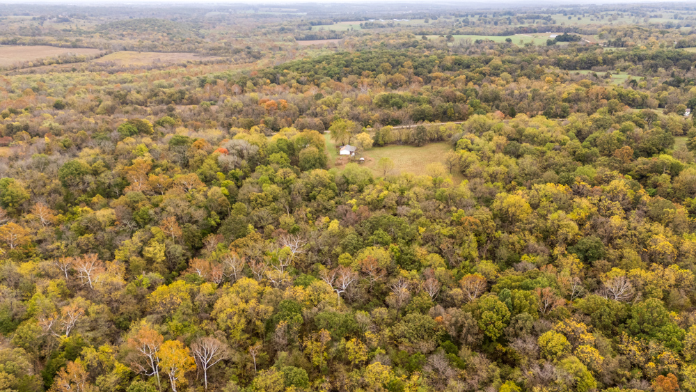 Recreational Property with Huge Potential Near Stockton Lake