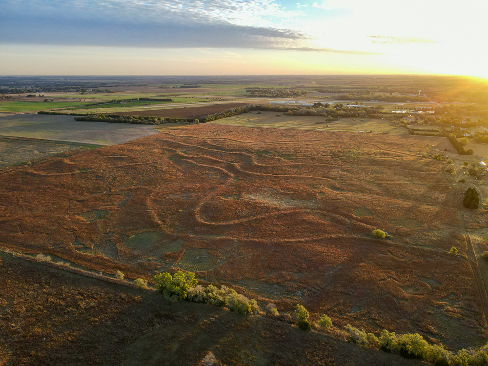 Kingman County Grass Land