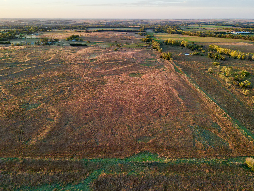 Kingman County Grass Land