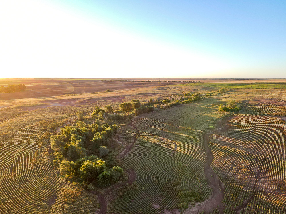 South Central Kansas Combo Farm