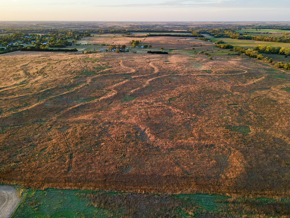Kingman County Grass Land