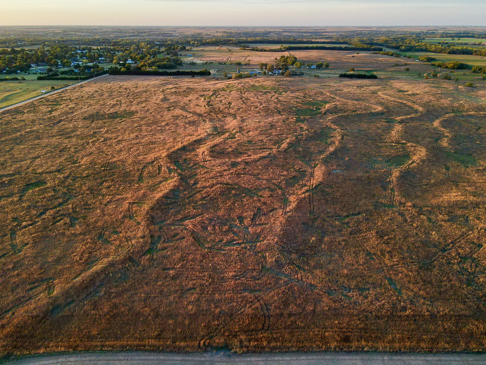 Kingman County Grass Land
