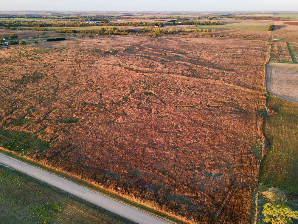 Kingman County Grass Land
