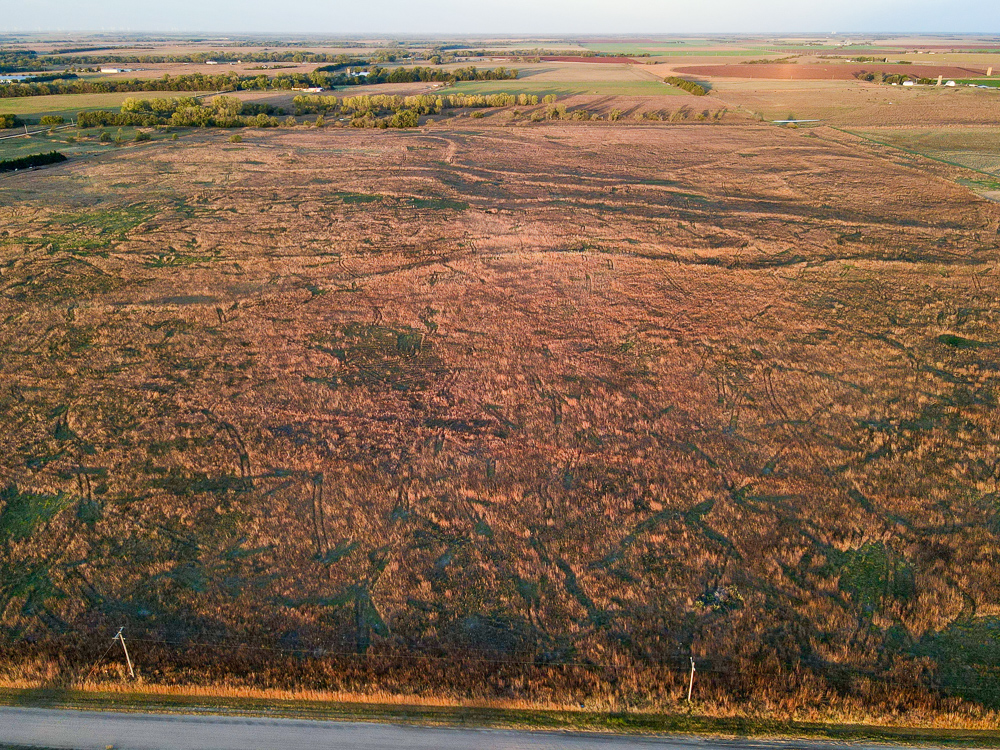 Kingman County Grass Land