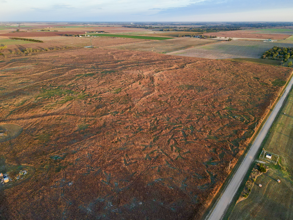 Kingman County Grass Land