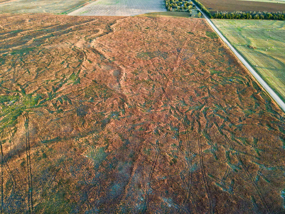 Kingman County Grass Land