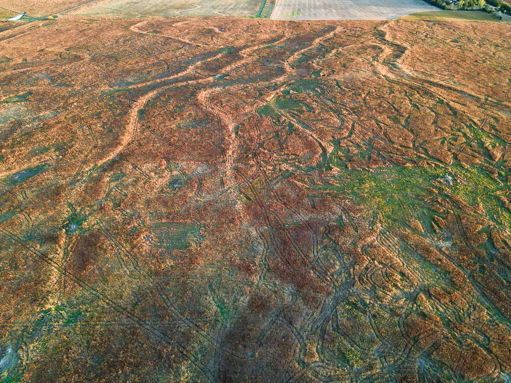 Kingman County Grass Land