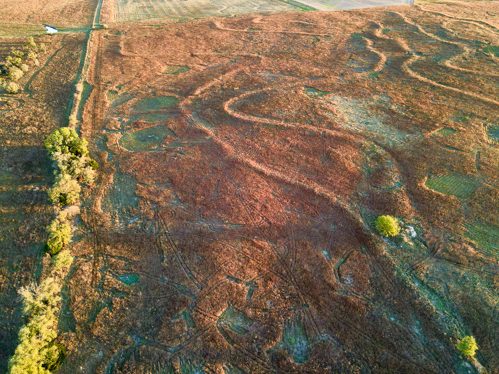 Kingman County Grass Land