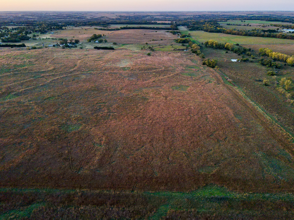 Kingman County Grass Land
