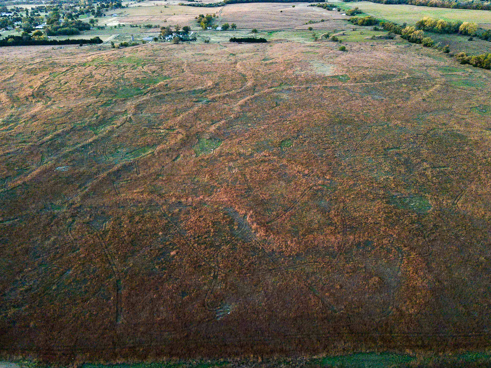 Kingman County Grass Land
