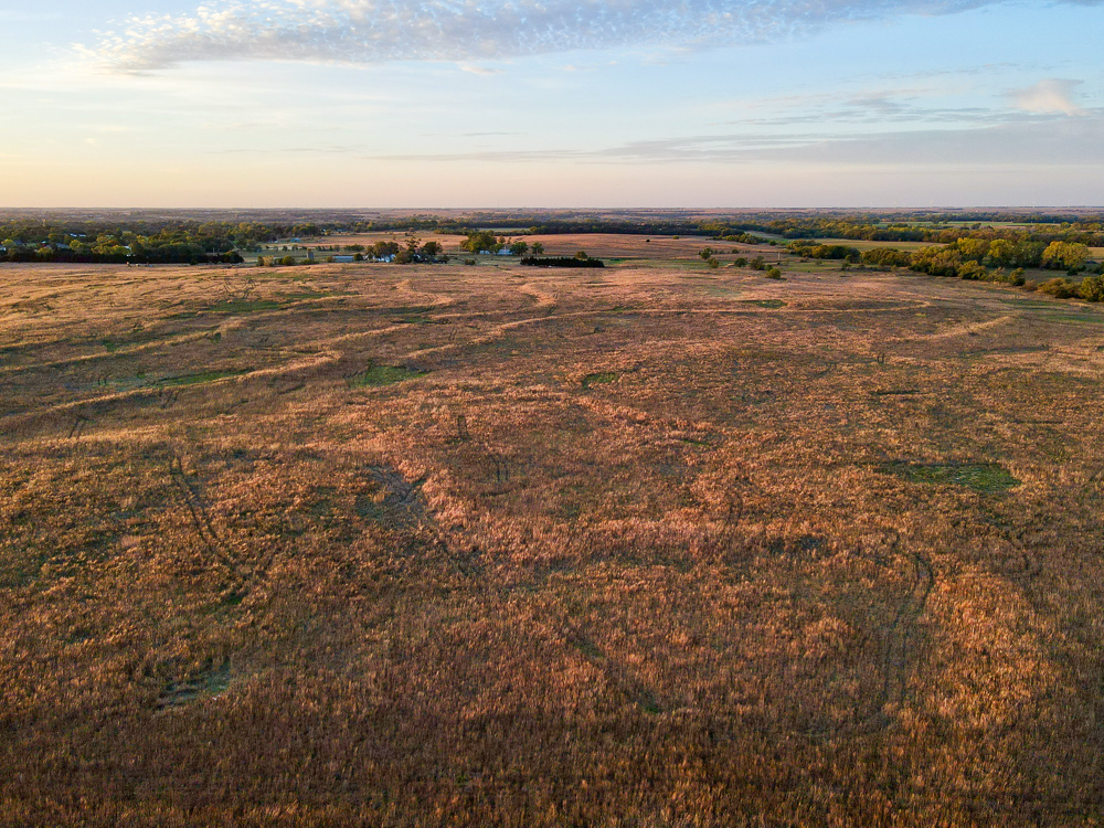 Kingman County Grass Land