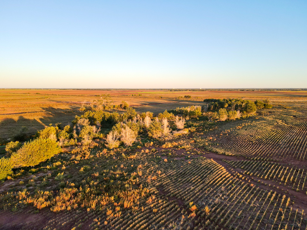 South Central Kansas Combo Farm