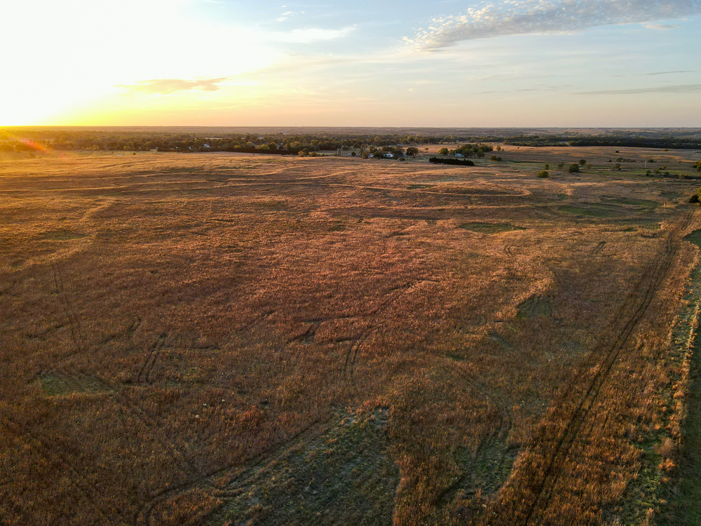 Kingman County Grass Land