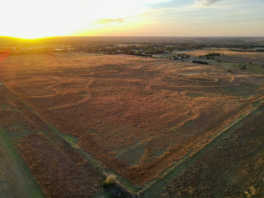 Kingman County Grass Land