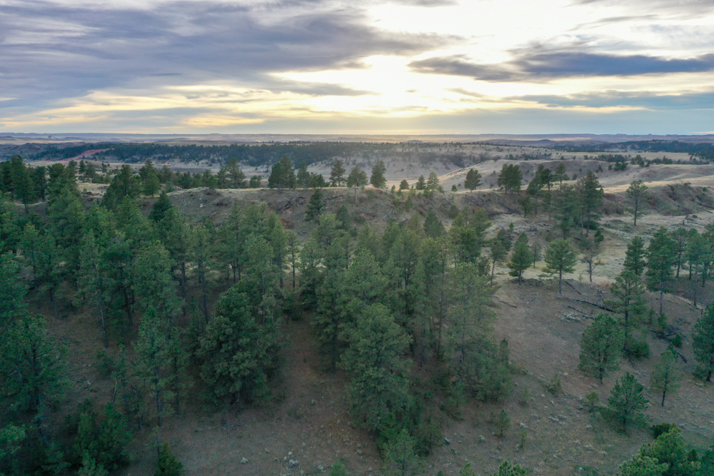 Pine Valley Build Site - Broad Axe Tract A5