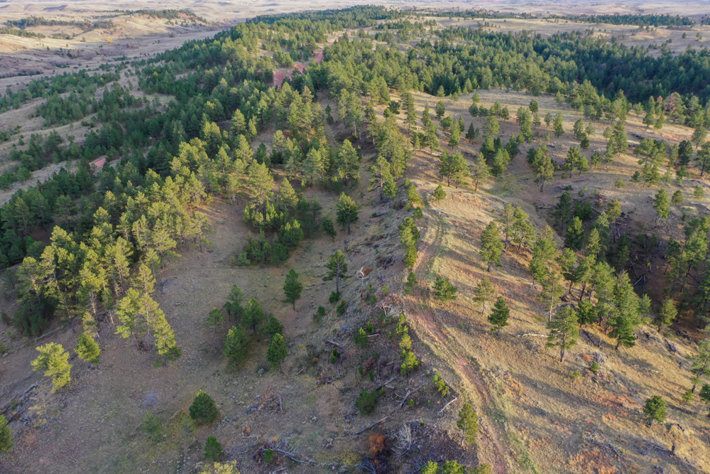 Pine Valley Build Site - Broad Axe Tract A5