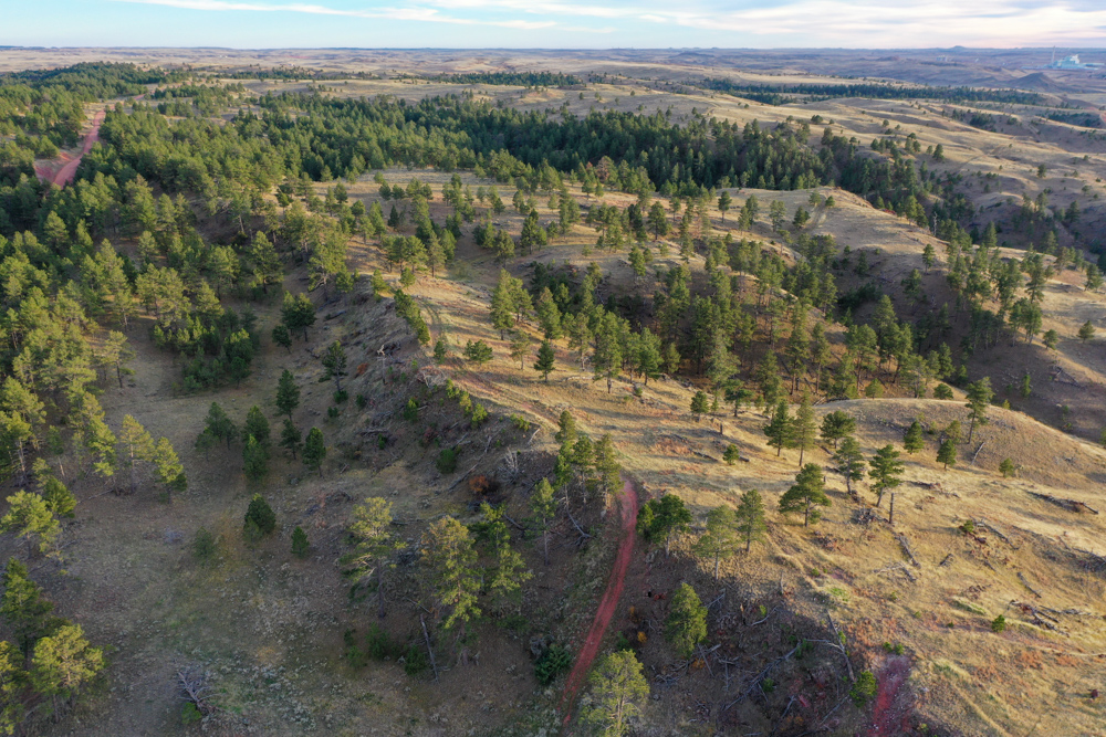 Pine Valley Build Site - Broad Axe Tract A5