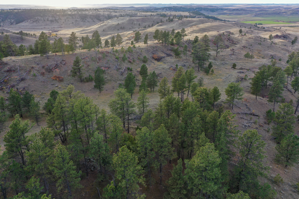 Pine Valley Build Site - Broad Axe Tract A5