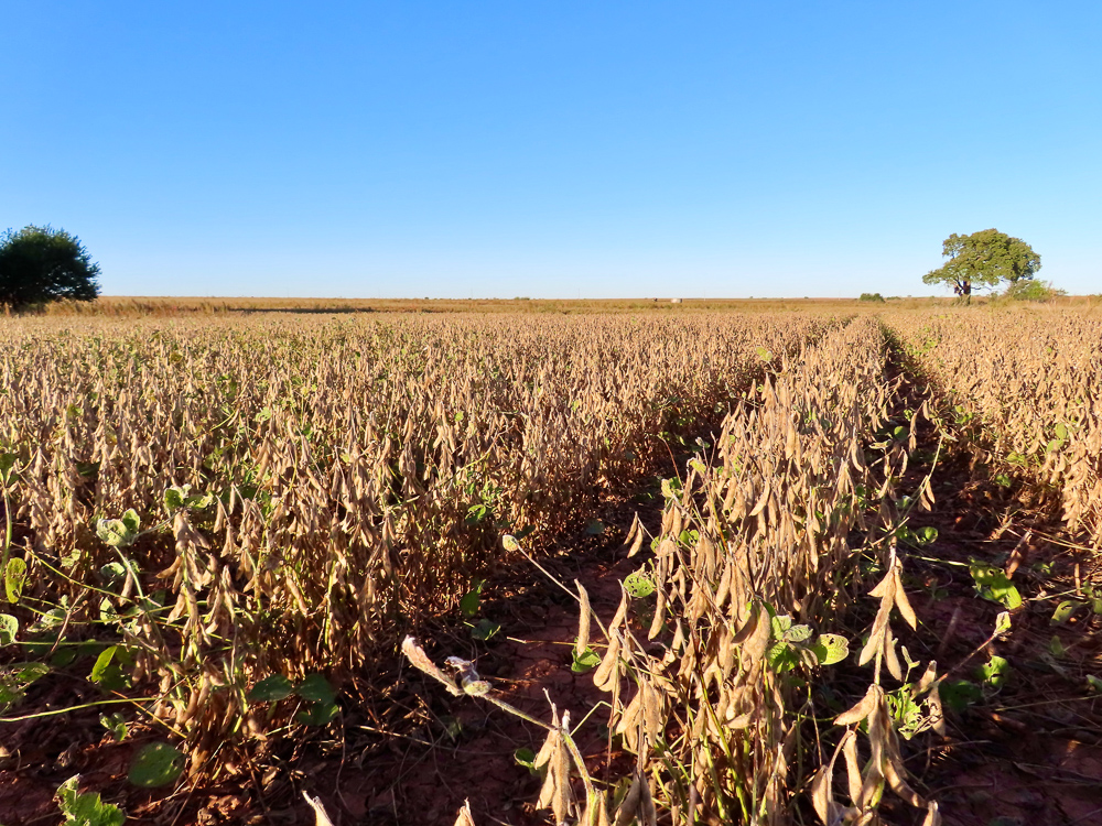 South Central Kansas Combo Farm