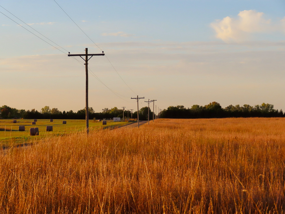 Kingman County Grass Land