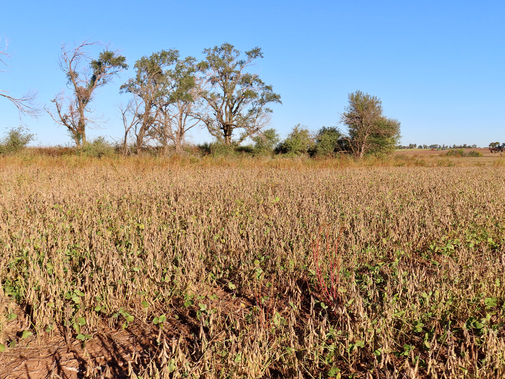 South Central Kansas Combo Farm
