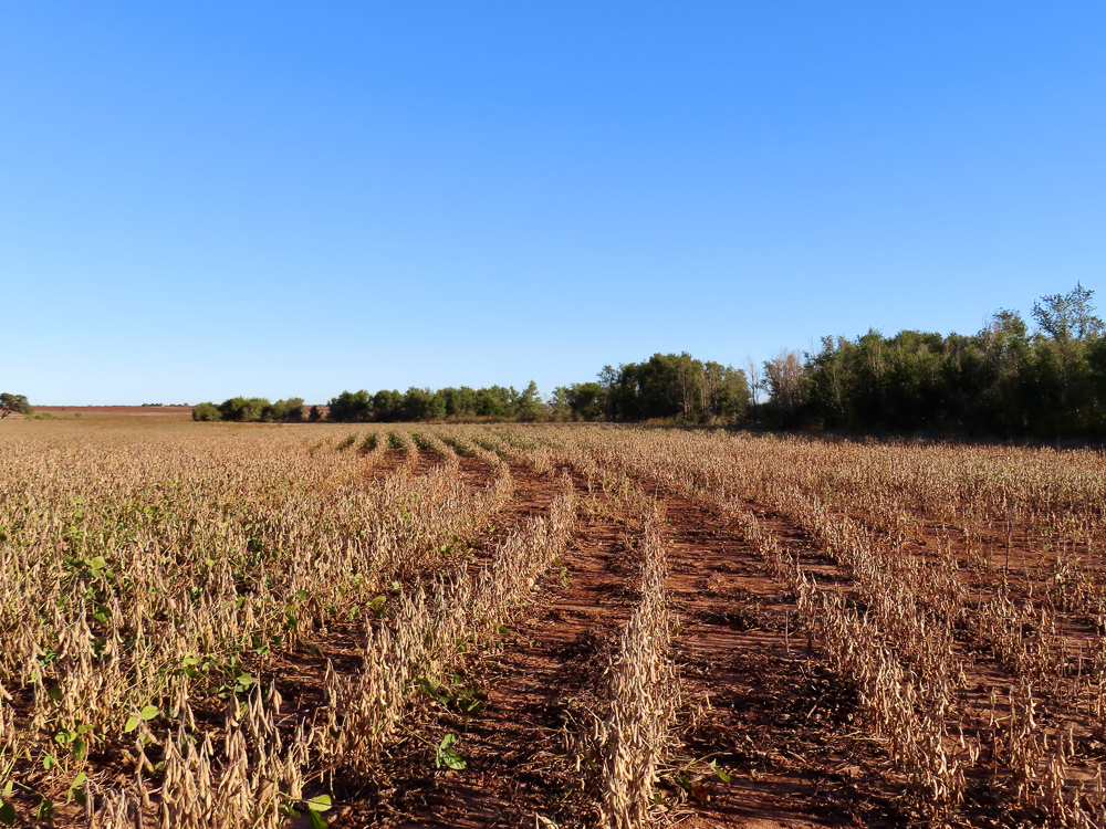 South Central Kansas Combo Farm