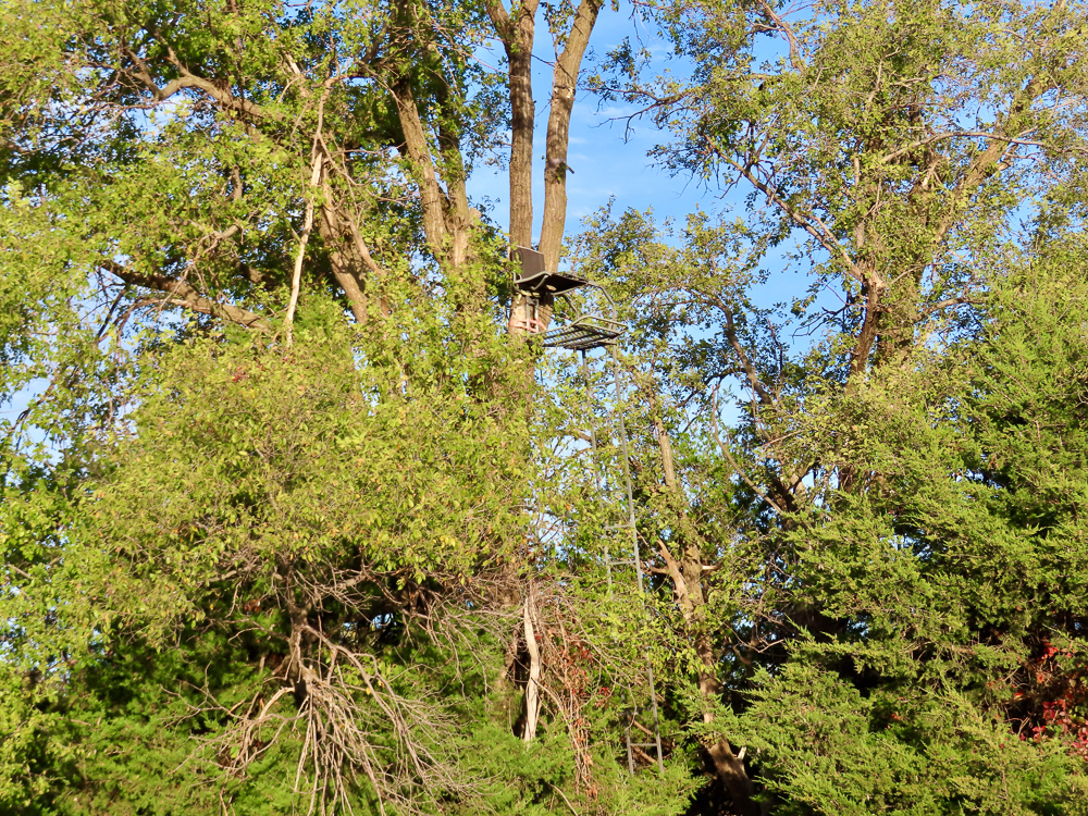 Kingman County Grass Land