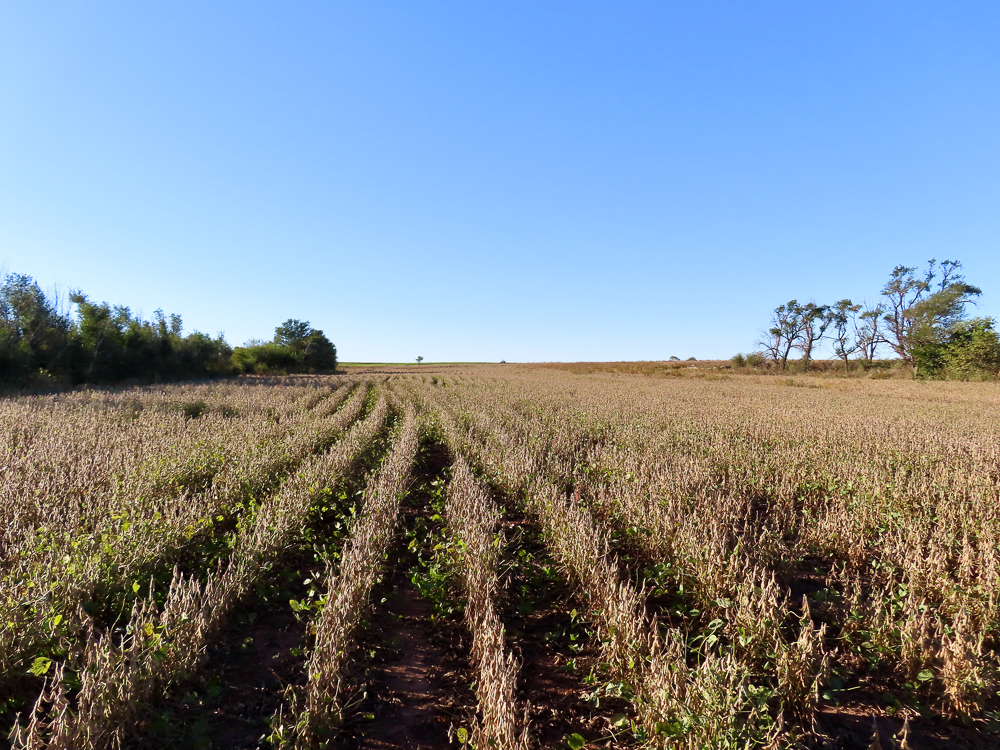 South Central Kansas Combo Farm