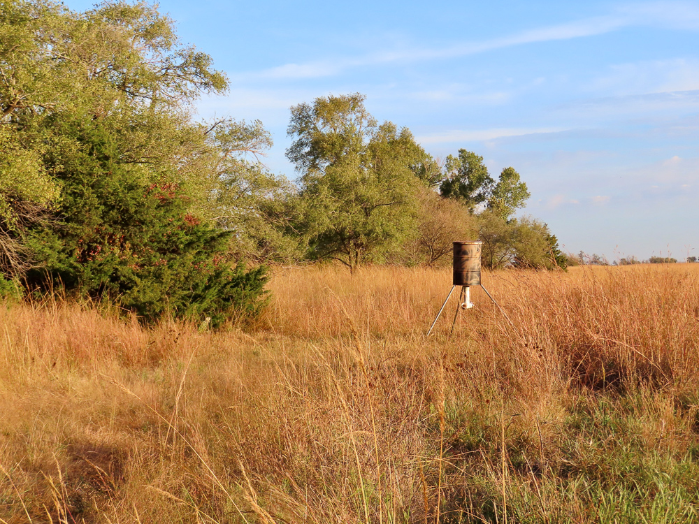 Kingman County Grass Land