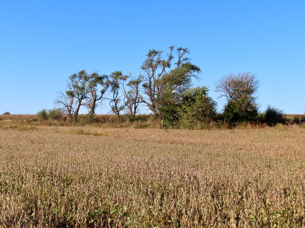 South Central Kansas Combo Farm