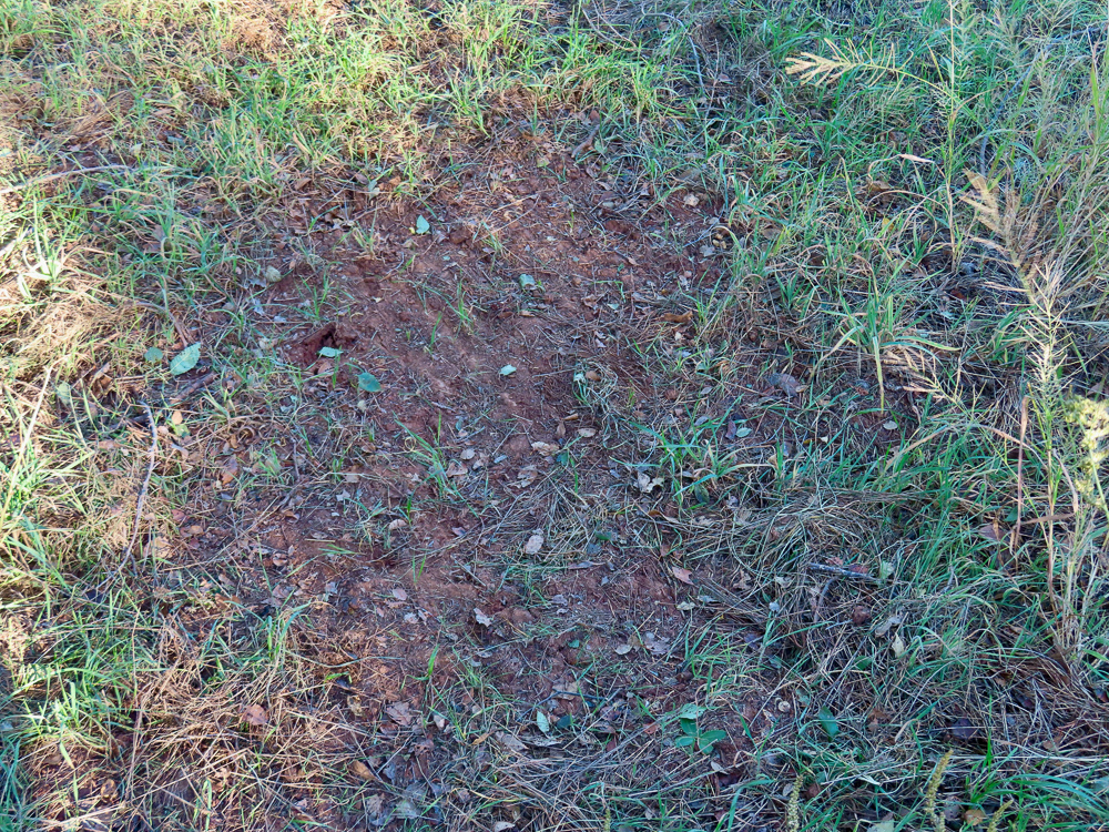 South Central Kansas Combo Farm