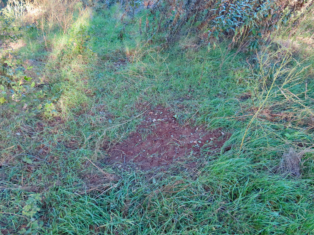 South Central Kansas Combo Farm