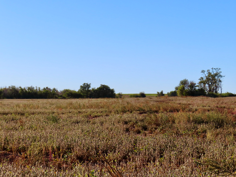 South Central Kansas Combo Farm