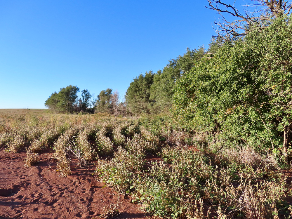 South Central Kansas Combo Farm