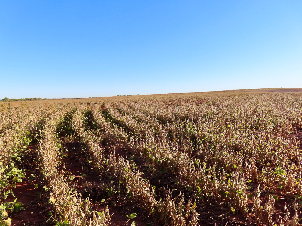 South Central Kansas Combo Farm