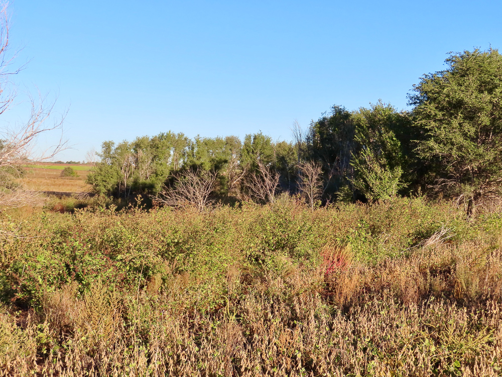 South Central Kansas Combo Farm