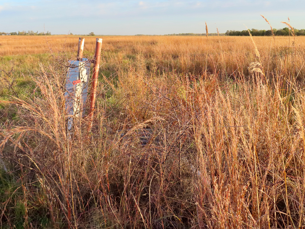 Kingman County Grass Land