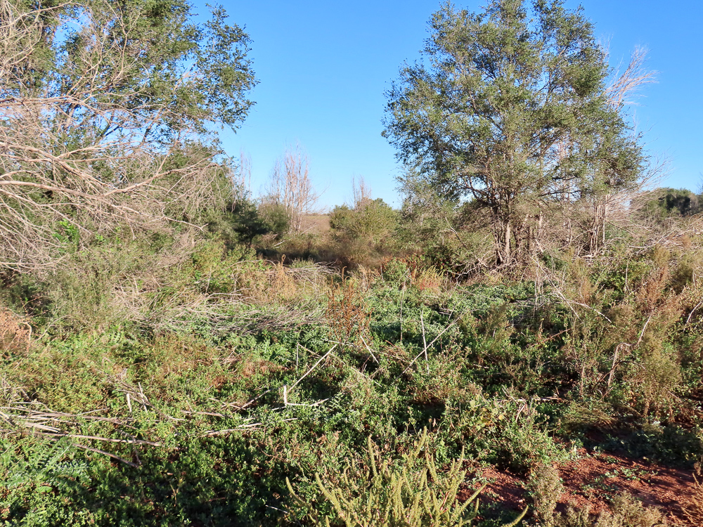 South Central Kansas Combo Farm