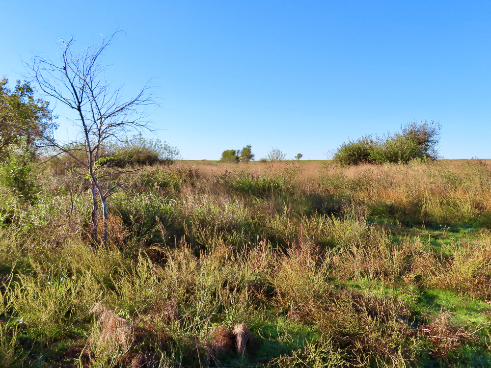 South Central Kansas Combo Farm