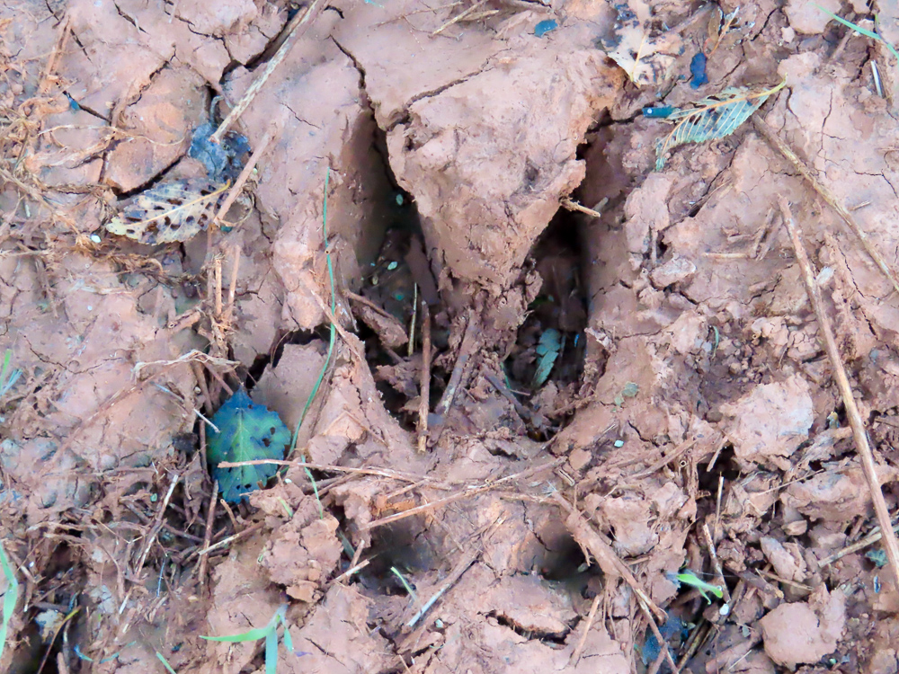 South Central Kansas Combo Farm