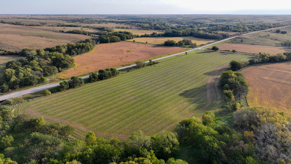 Productive Cropland and Recreational Farm with Residence